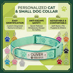 Collar con identificación PawPrint: Seguridad personalizada para mascotas