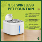 Purrfect Pour: Motion-Sensing Pet Hydrator