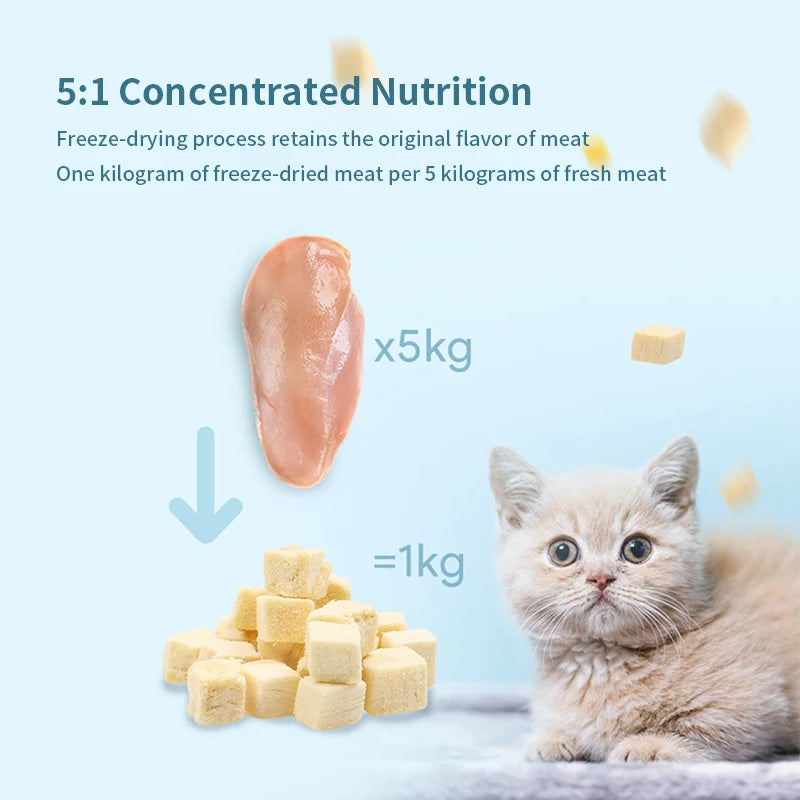 Arctic Crunch: Premium Freeze-Dried Cat Snacks