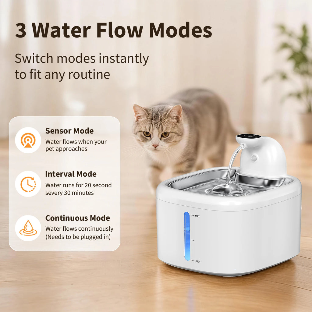 Purrfect Pour: Motion-Sensing Pet Hydrator