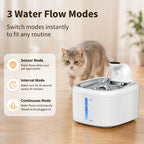 Purrfect Pour: Motion-Sensing Pet Hydrator
