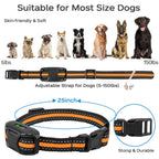 PetMaster Pro: Precision Training Collar
