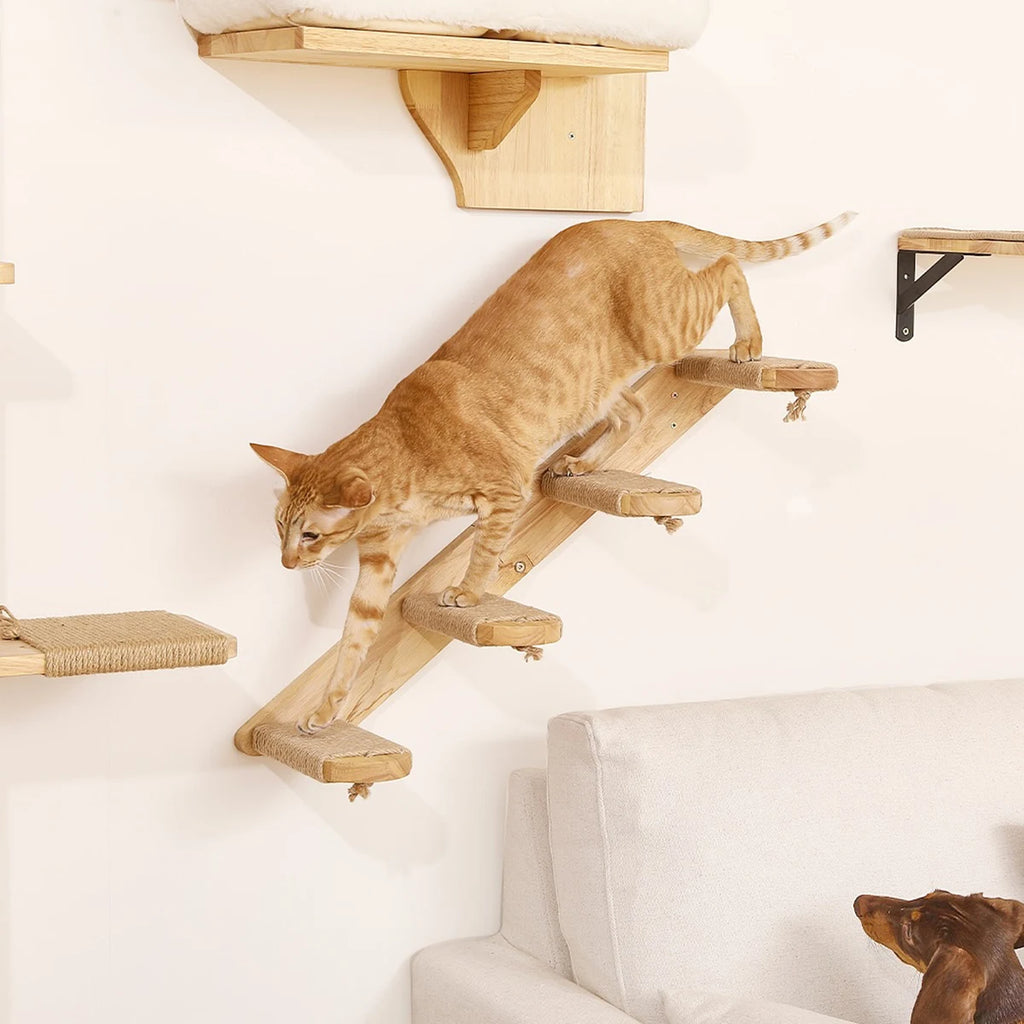 ElevateCat Haven: Ultimate Climbing Hammock