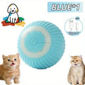Whisker Wheel: Diversión rodante de 360° para mascotas