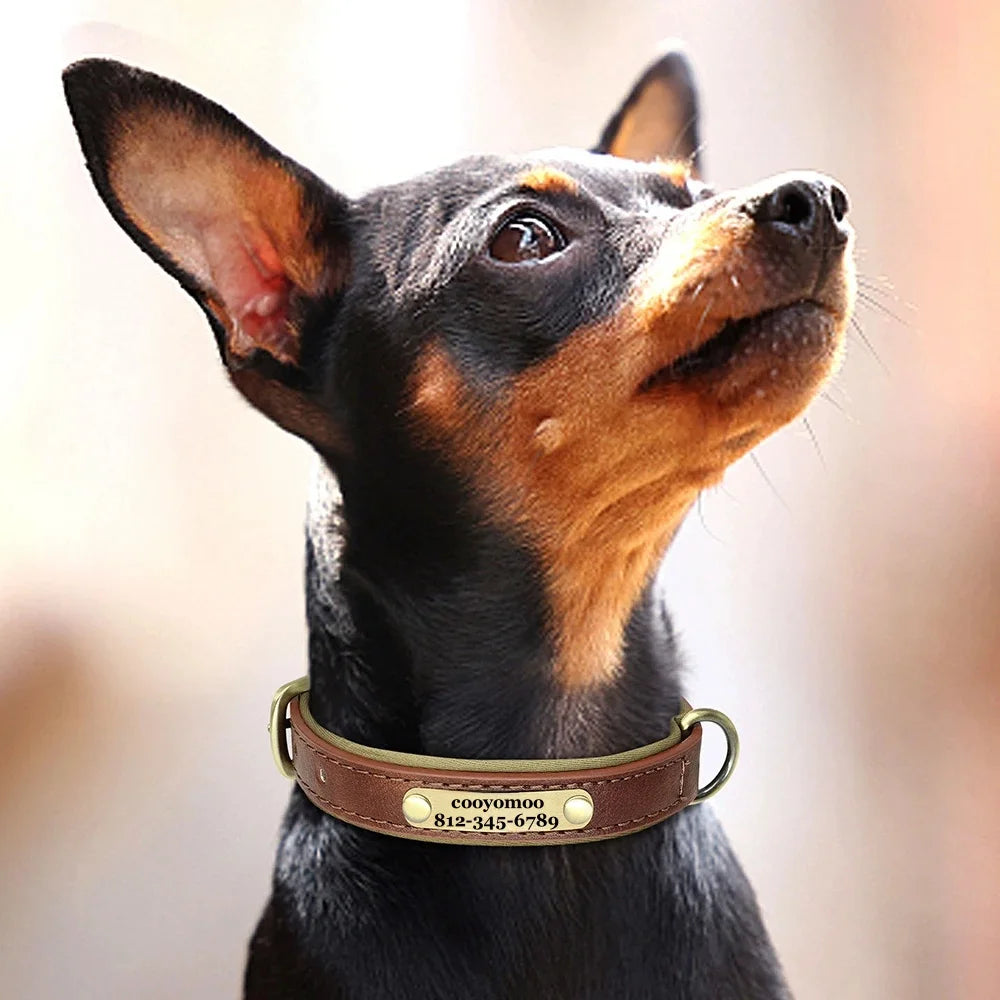 LuxTag Leather Collar