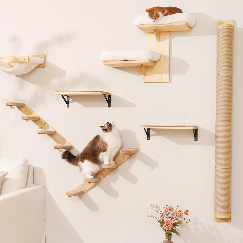 ElevateCat Haven: Ultimate Climbing Hammock