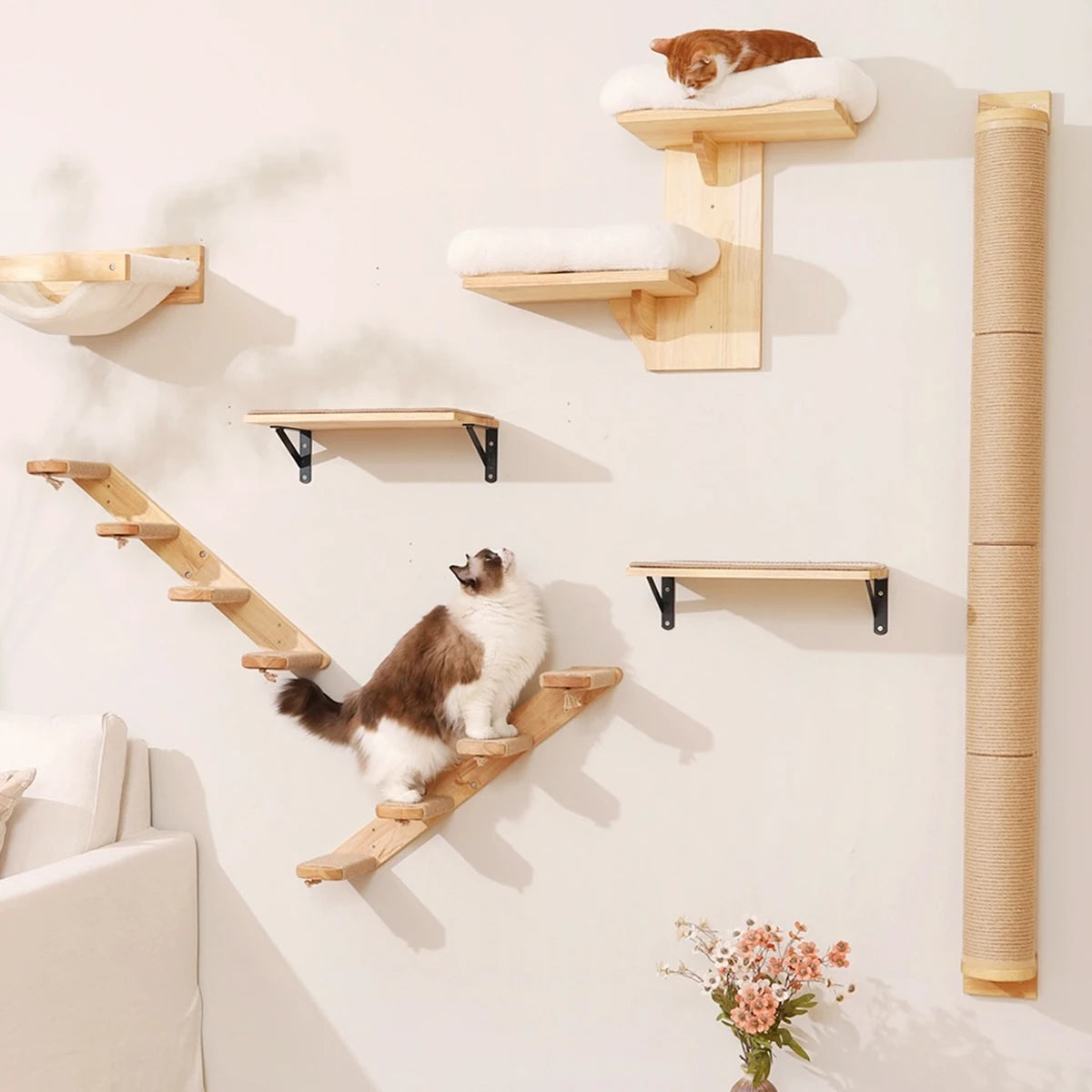 ElevateCat Haven: Ultimate Climbing Hammock