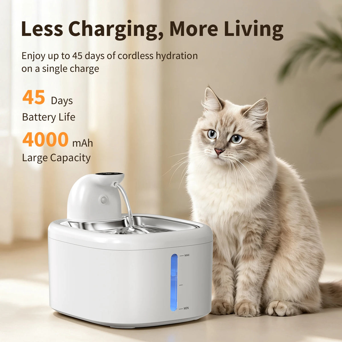 Purrfect Pour: Motion-Sensing Pet Hydrator