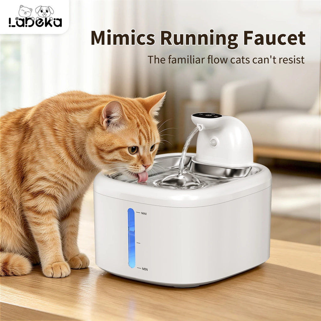 Purrfect Pour: Motion-Sensing Pet Hydrator