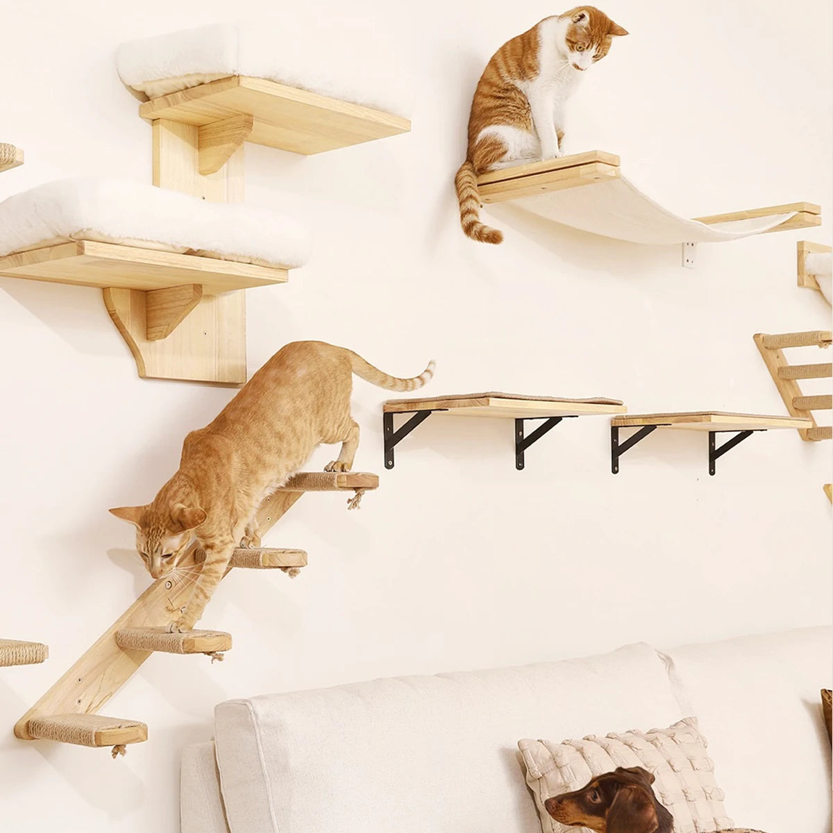 ElevateCat Haven: Ultimate Climbing Hammock