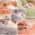 FurryDream Donut Bed: Plush Comfort for Pets