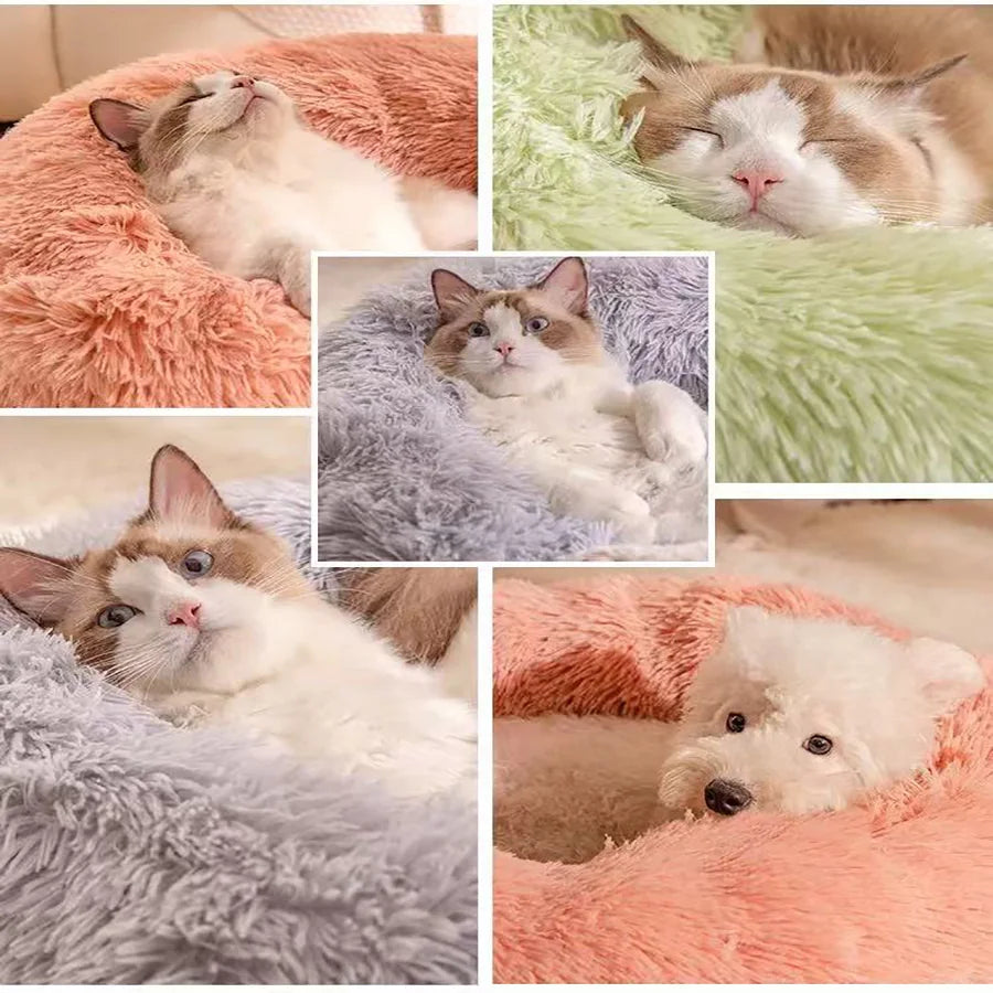 FurryDream Donut Bed: Plush Comfort for Pets