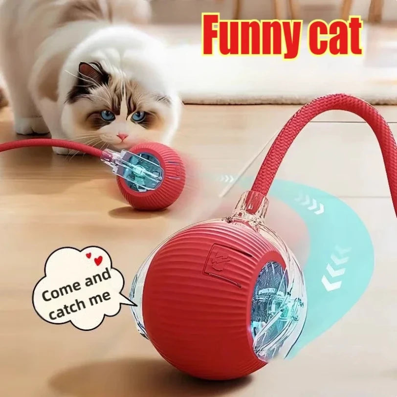 Whisker Wheel: Diversión rodante de 360° para mascotas