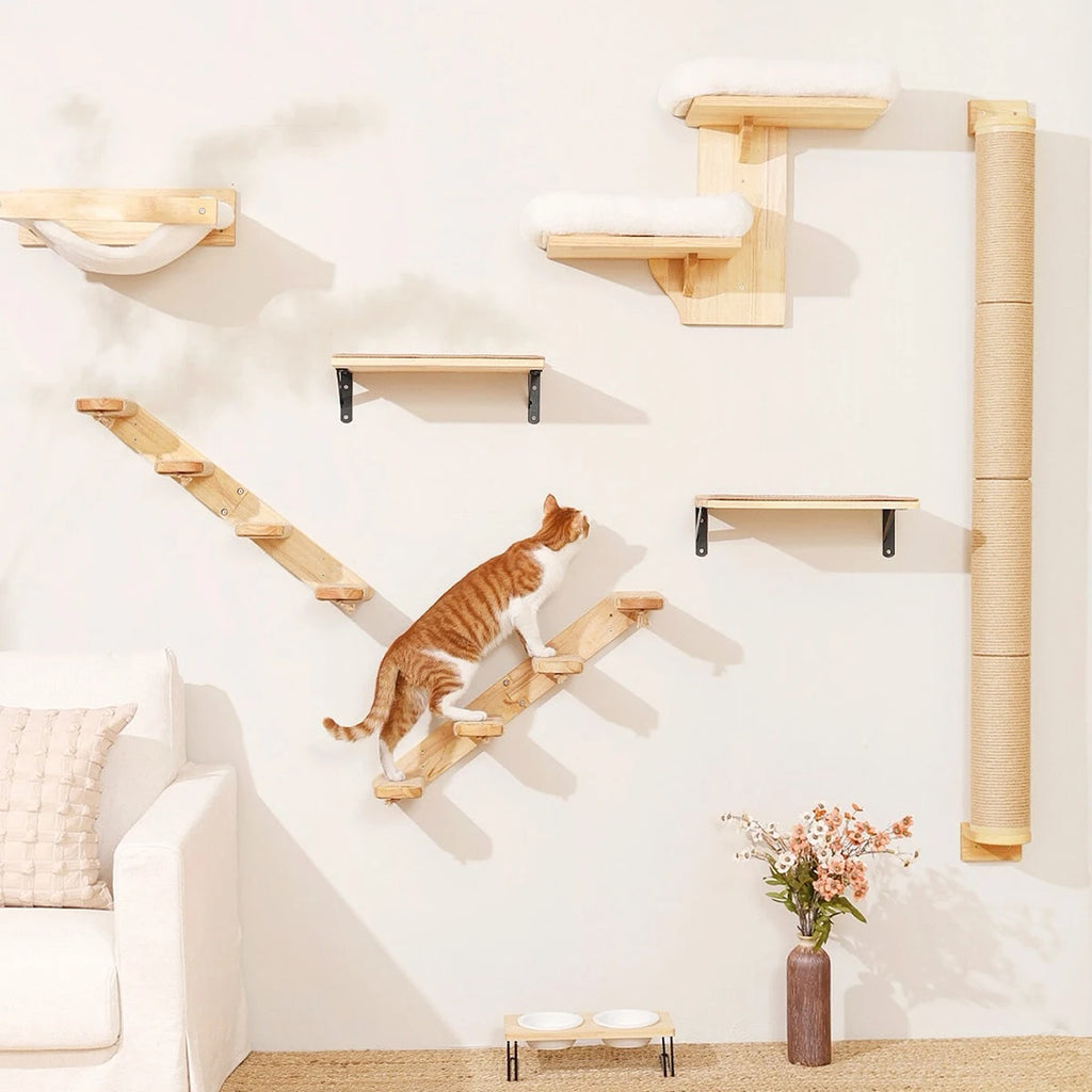 ElevateCat Haven: Ultimate Climbing Hammock