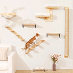 ElevateCat Haven: Ultimate Climbing Hammock