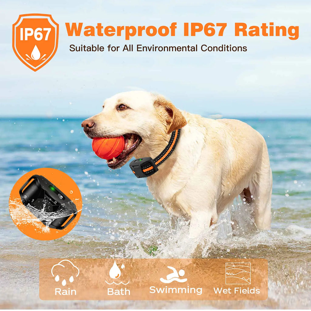 PetMaster Pro: Precision Training Collar