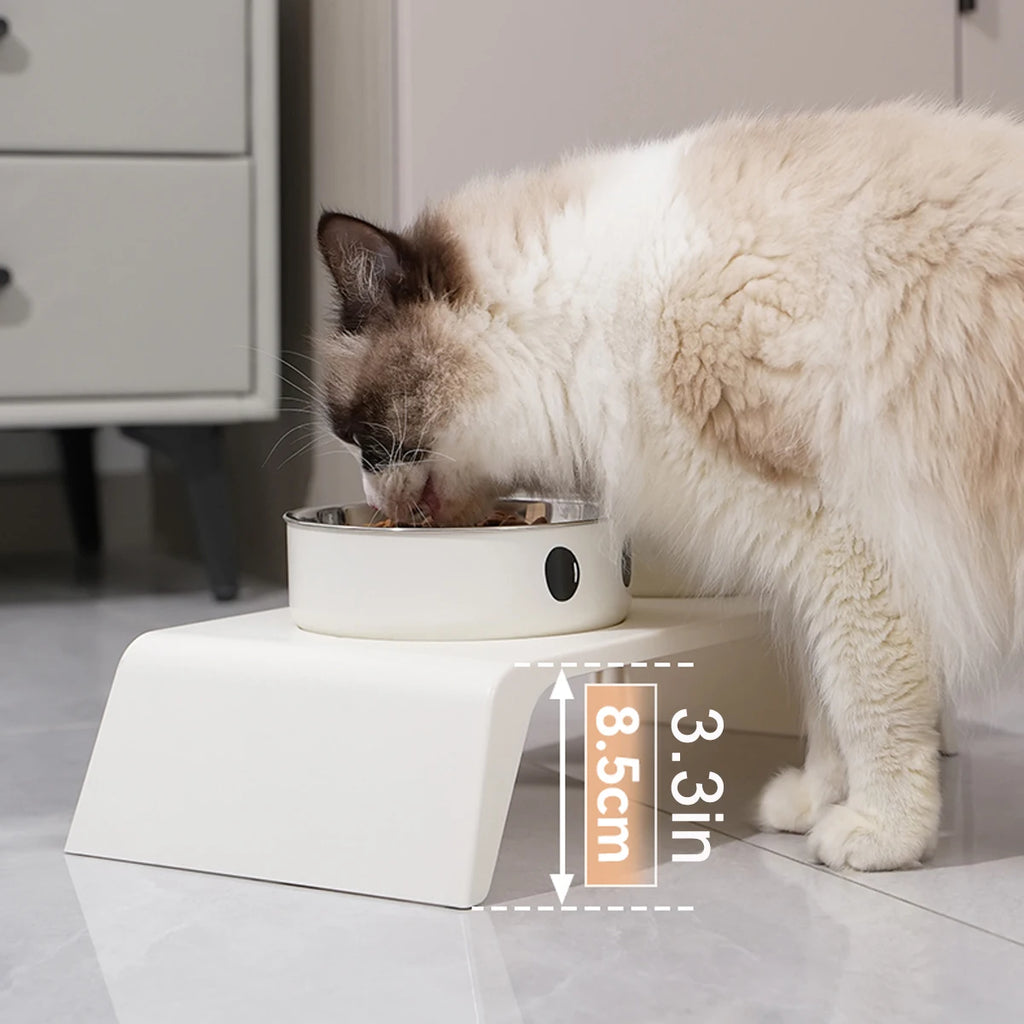 ElevateFeast Dual Bowls: Comfort Dining