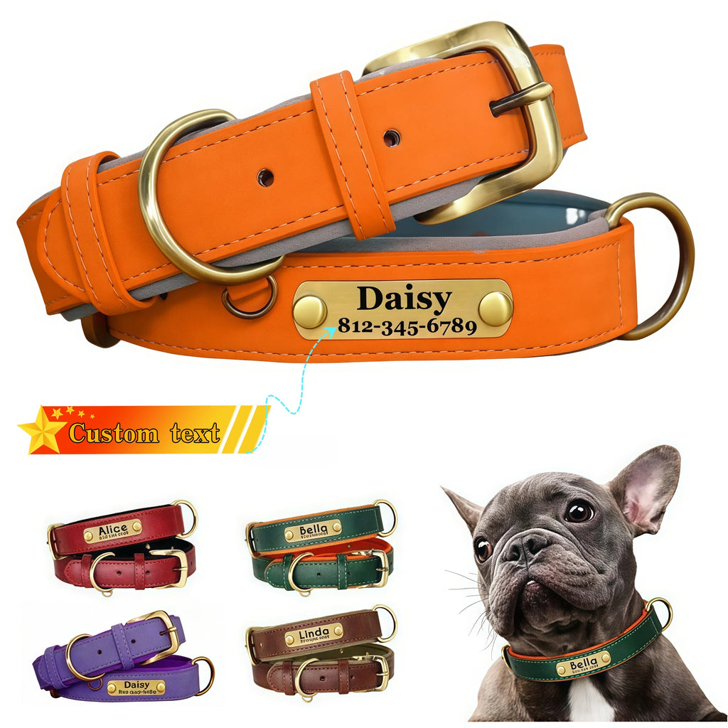 LuxTag Leather Collar