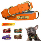 LuxTag Leather Collar