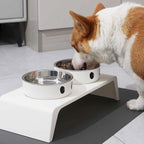 ElevateFeast Dual Bowls: Comfort Dining