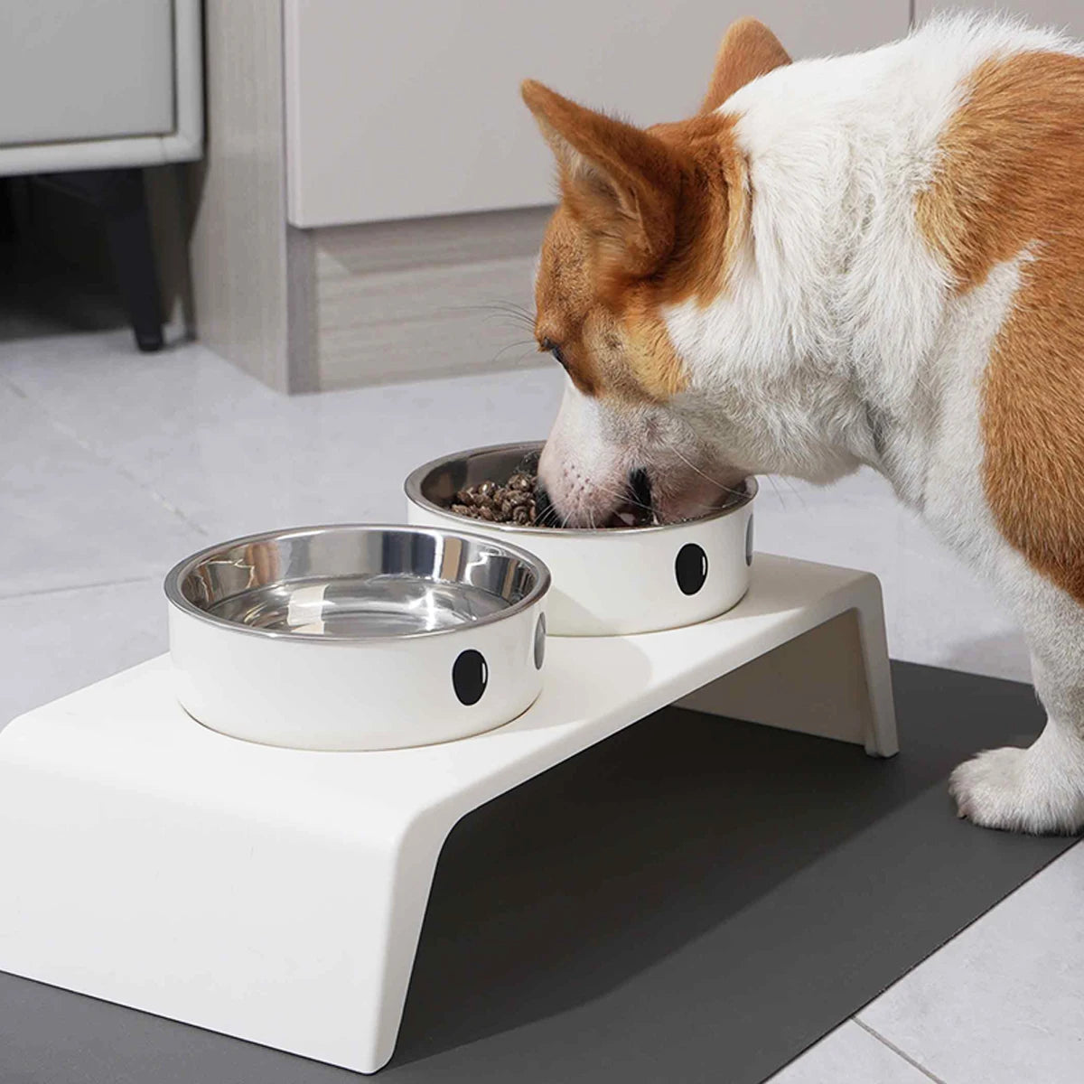 ElevateFeast Dual Bowls: Comfort Dining