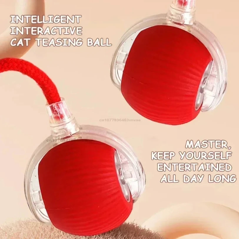 Whisker Wheel: 360° Rolling Fun for Pets
