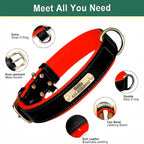 LuxTag Leather Collar