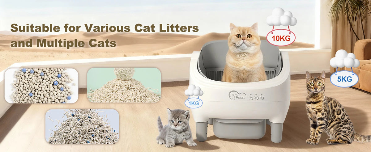 PurrTech Litter Hub: App-Controlled Cat Toilet