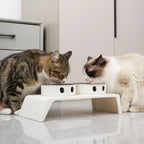 ElevateFeast Dual Bowls: Comfort Dining