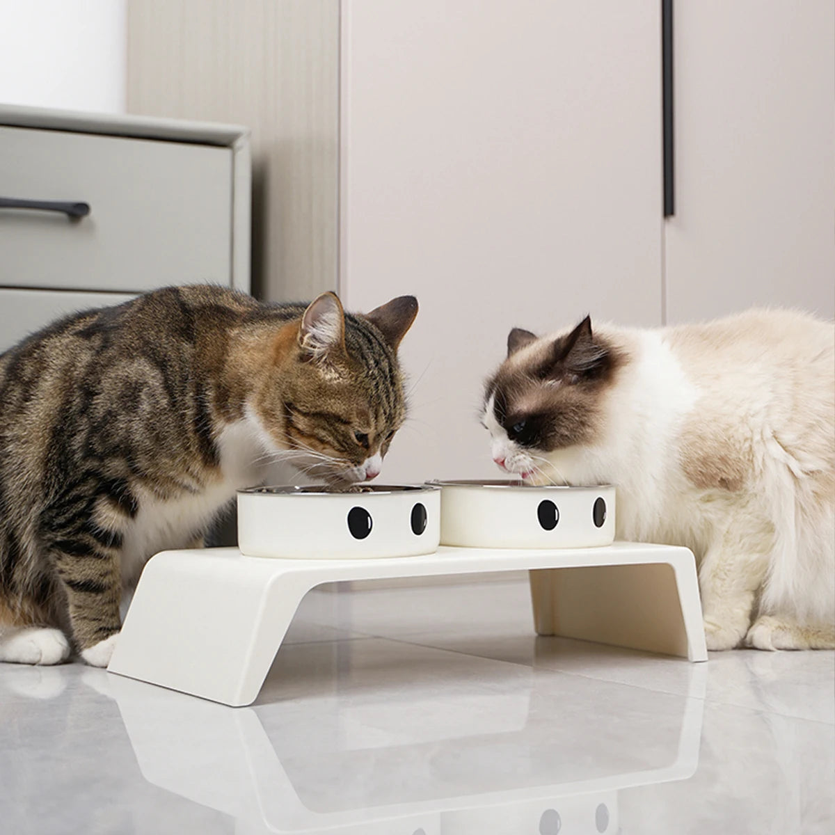 ElevateFeast Dual Bowls: Comfort Dining