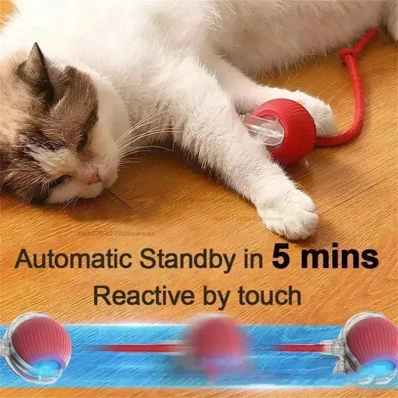 Whisker Wheel: 360° Rolling Fun for Pets