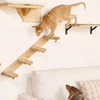 ElevateCat Haven: Ultimate Climbing Hammock