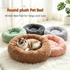 FurryDream Donut Bed: Plush Comfort for Pets