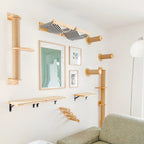 ElevateCat Haven: Ultimate Climbing Hammock