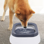 HydroTravel Pet Bowl: Splash-Free Hydration