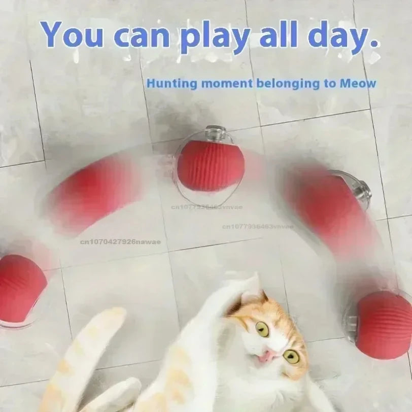 Whisker Wheel: 360° Rolling Fun for Pets