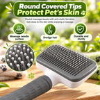 Clean & Healthy Coat Bundle