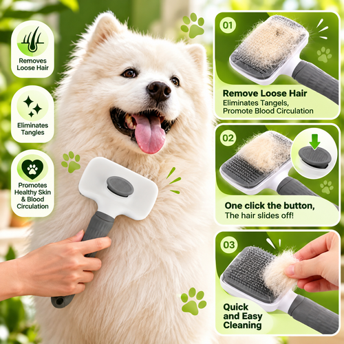 Clean & Healthy Coat Bundle