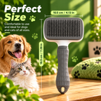 Clean & Healthy Coat Bundle