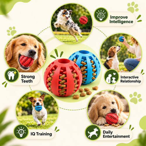 ChompMaster Treat Ball: Fun and Clean