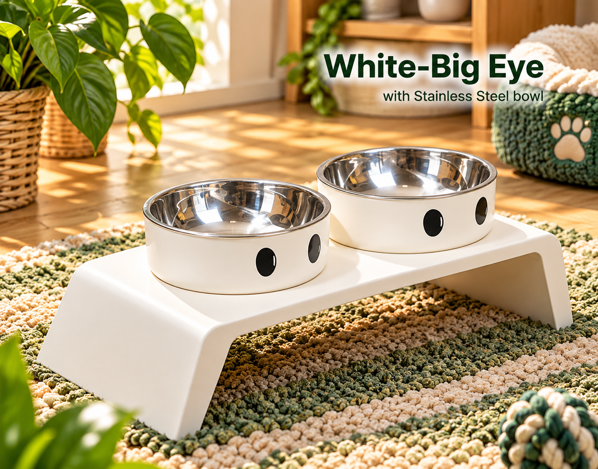 ElevateFeast Dual Bowls: Comfort Dining